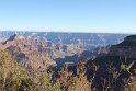 IMG_2469