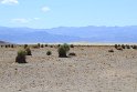IMG_2487