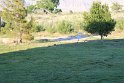 IMG_2508
