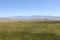 IMG_2521