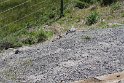IMG_2524