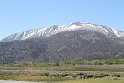 IMG_2527