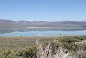 IMG_2532