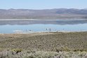 IMG_2533