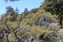 IMG_2542