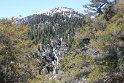 IMG_2543