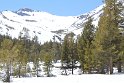 IMG_2545