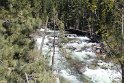 IMG_2547