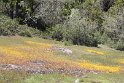 IMG_2549