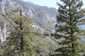 IMG_2592