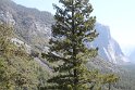 IMG_2593