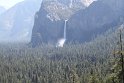 IMG_2599