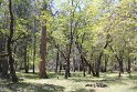 IMG_2602