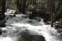 IMG_2604