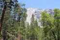 IMG_2606