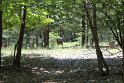 IMG_2607