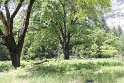 IMG_2610