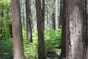 IMG_2626