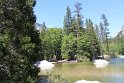 IMG_2629