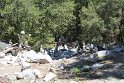 IMG_2637