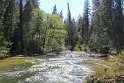 IMG_2641