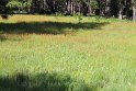 IMG_2642