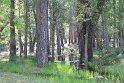 IMG_2646