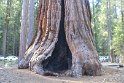 IMG_2653
