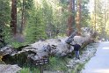 IMG_2660