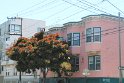 IMG_2749