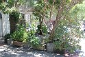 IMG_2770