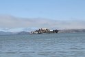 IMG_2841