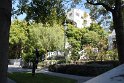 IMG_2978