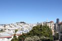 IMG_2984