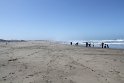 IMG_3002