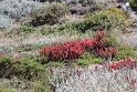 IMG_3004