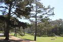 IMG_3021