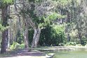 IMG_3026