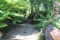 IMG_3038