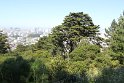 IMG_3042