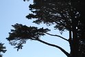 IMG_3052