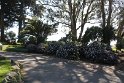 IMG_3058