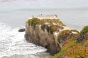IMG_3077