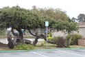 IMG_3086