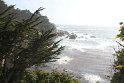 IMG_3106