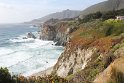 IMG_3113