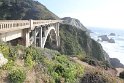 IMG_3115