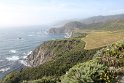 IMG_3121