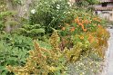 IMG_3154