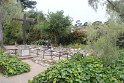 IMG_3156